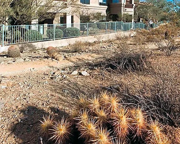 Resort Worldmark - South Mountain Preserve Phoenix