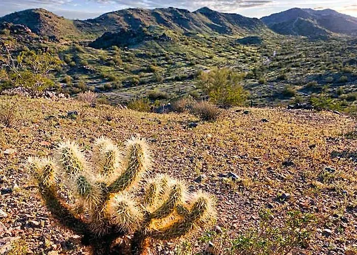 Worldmark - South Mountain Preserve Resort