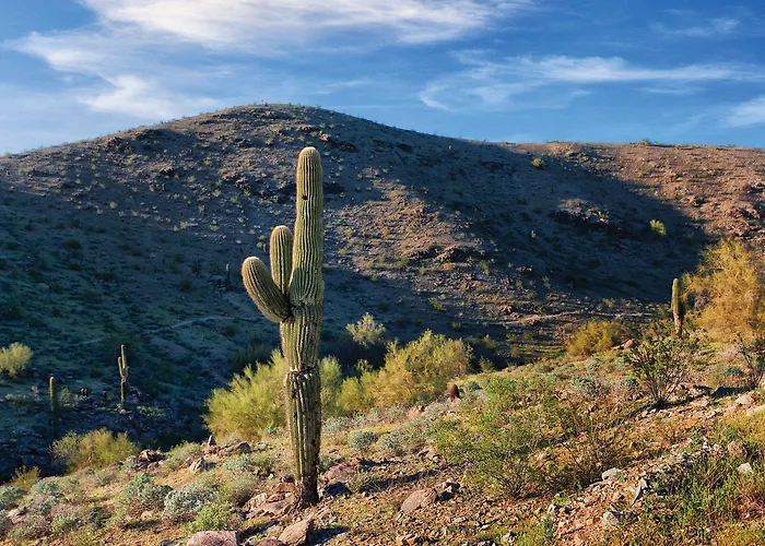 Worldmark - South Mountain Preserve Resort 4*
