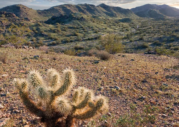Worldmark - South Mountain Preserve Resort