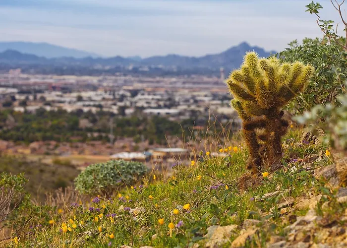 Worldmark - South Mountain Preserve Phoenix